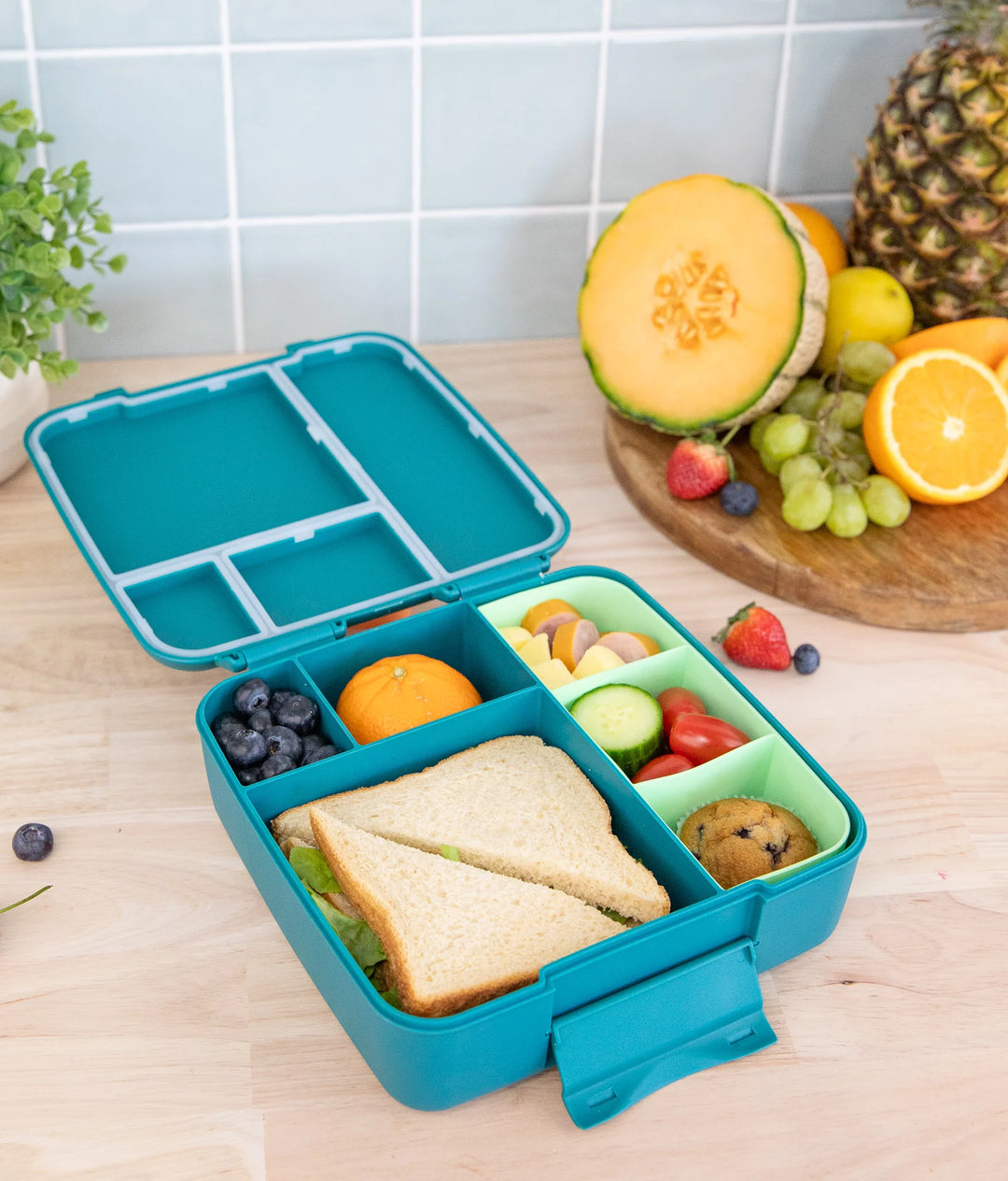 Montiico Feast Bento Lunch Box - Pine