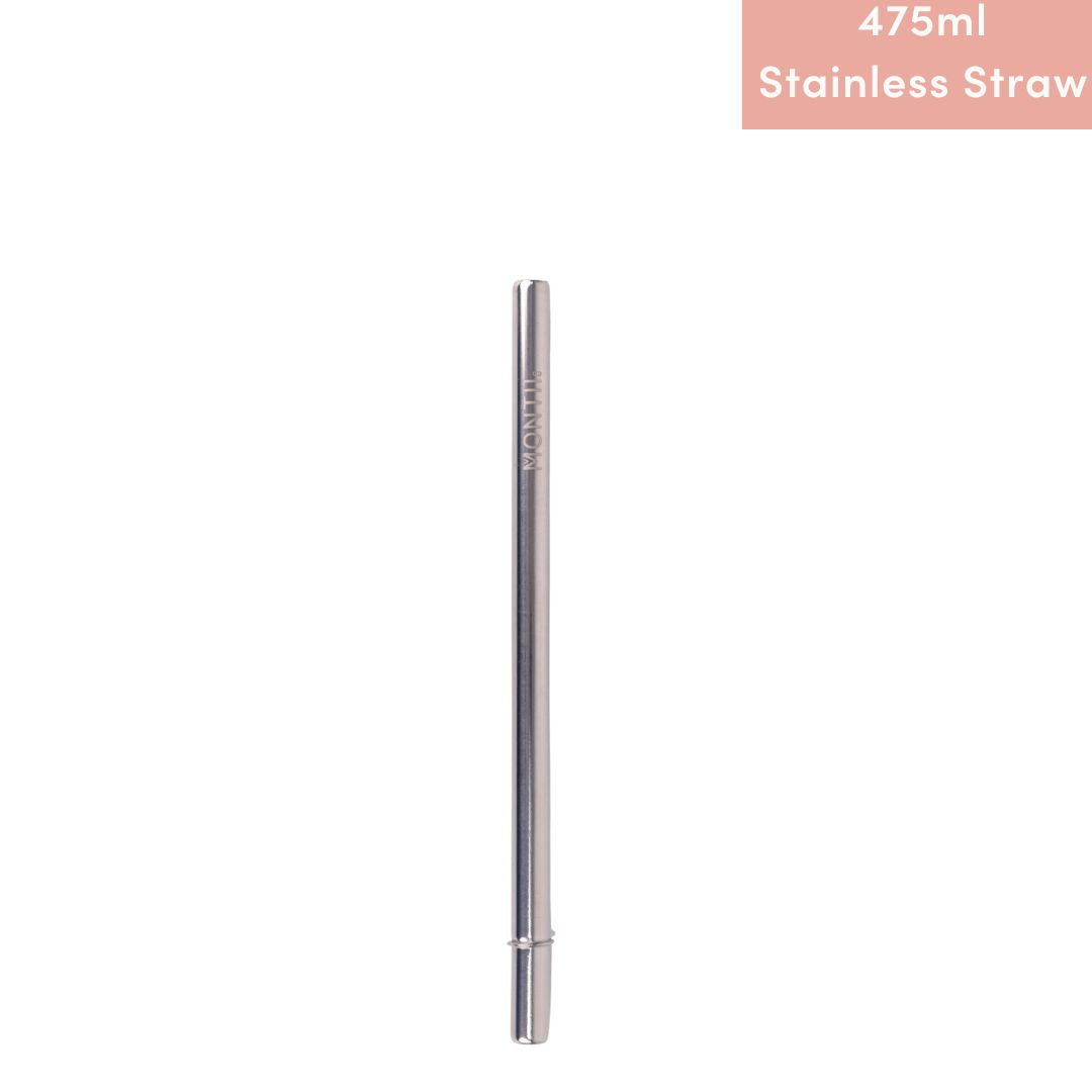 MontiiCo Fusion Smoothie Stainless Steel Straw