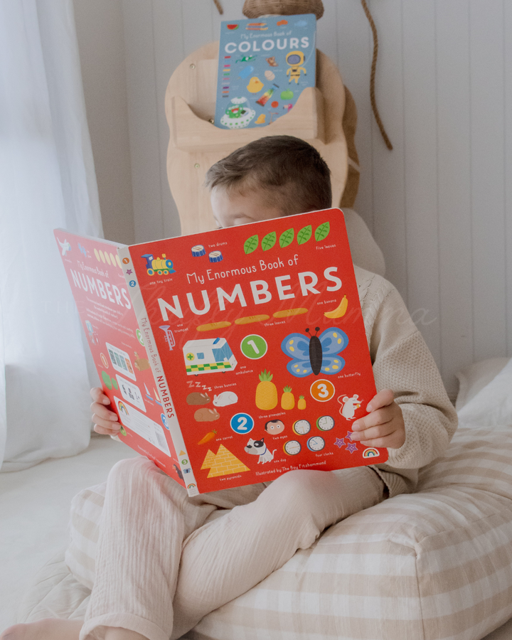 My Enormous Book of Numbers Jumbo Board Book