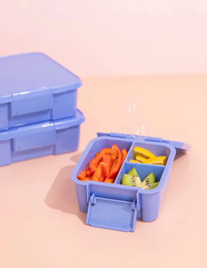 Montiico Bento Two Snack Box - Splash