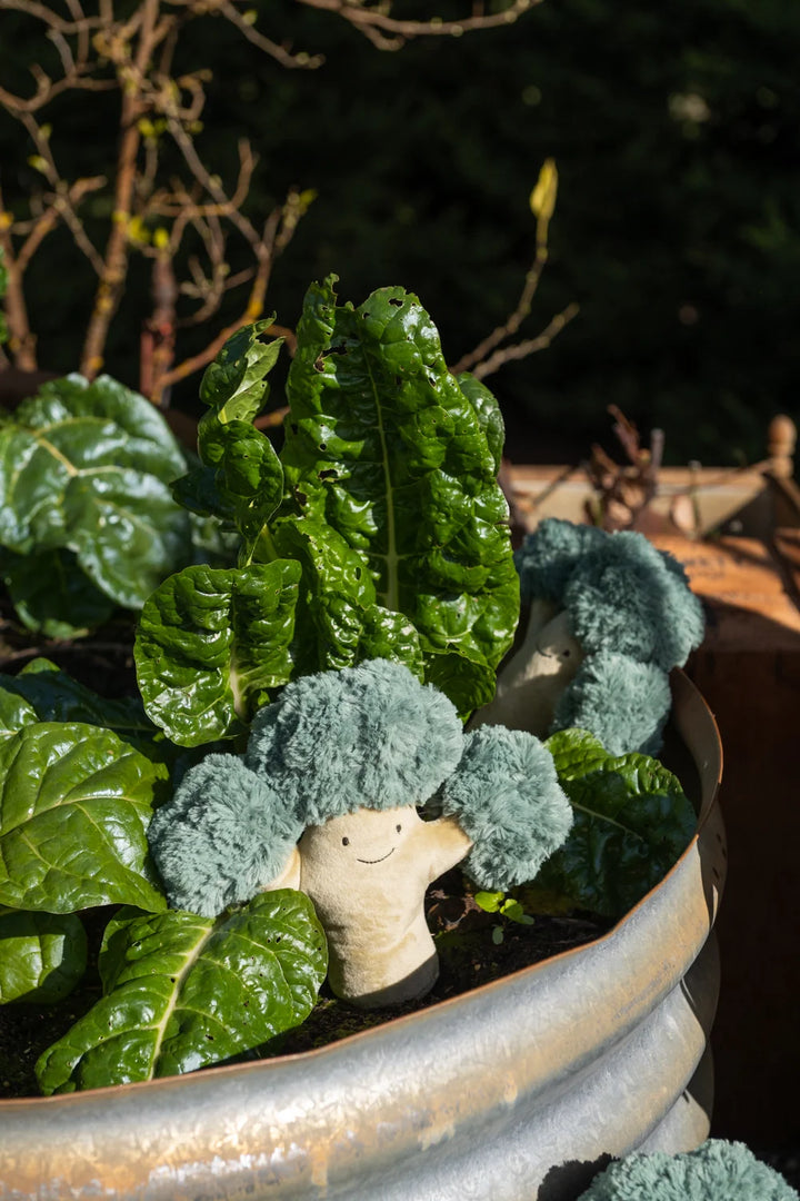 Nana Huchy Bo Broccoli - The Green Friend