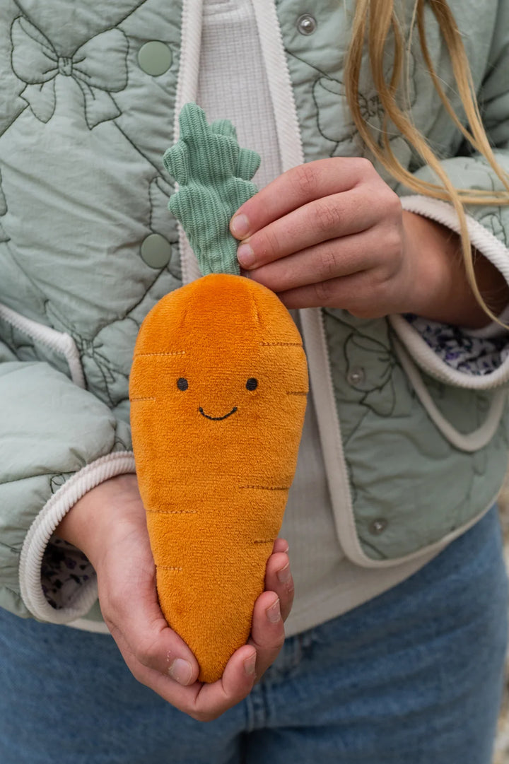 Nana Huchy Curtis Carrot - The Caring Friend