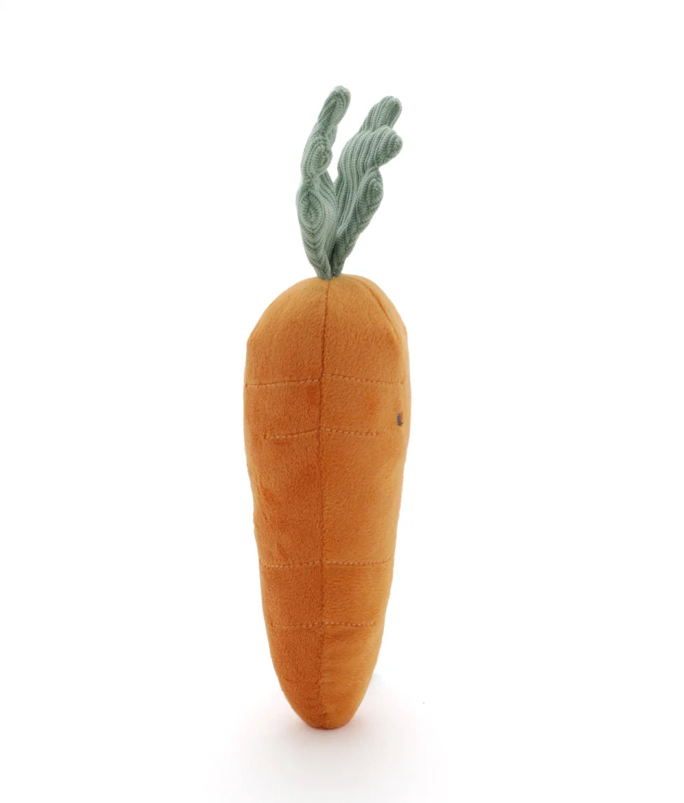 Nana Huchy Curtis Carrot - The Caring Friend
