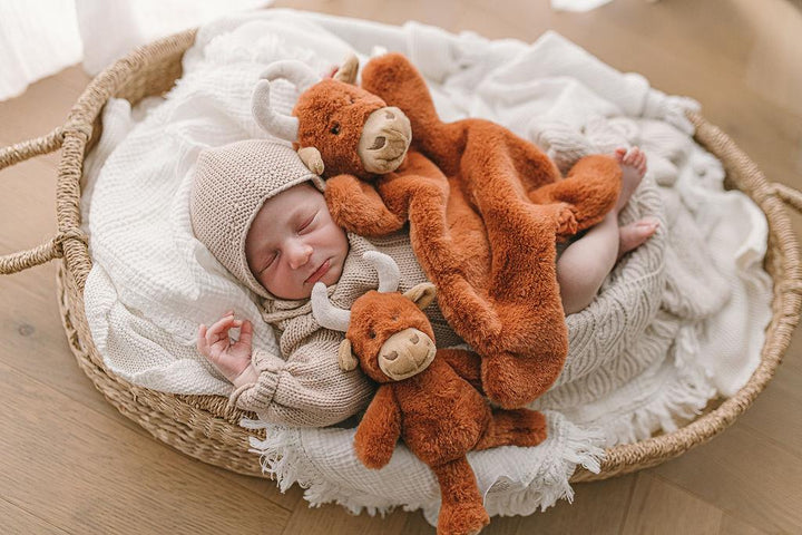 Nana Huchy Henry the Highland Cow Rattle