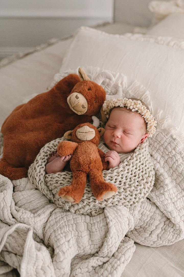 Nana Huchy Henry the Highland Cow Rattle