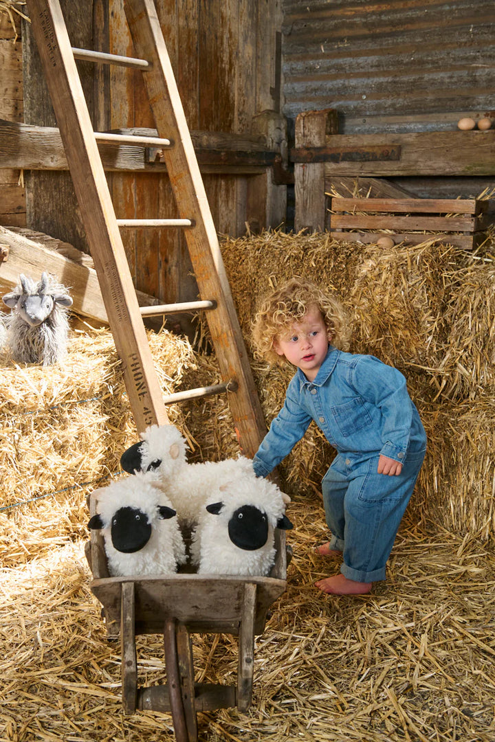 Nana Huchy Valentina the Valais Sheep