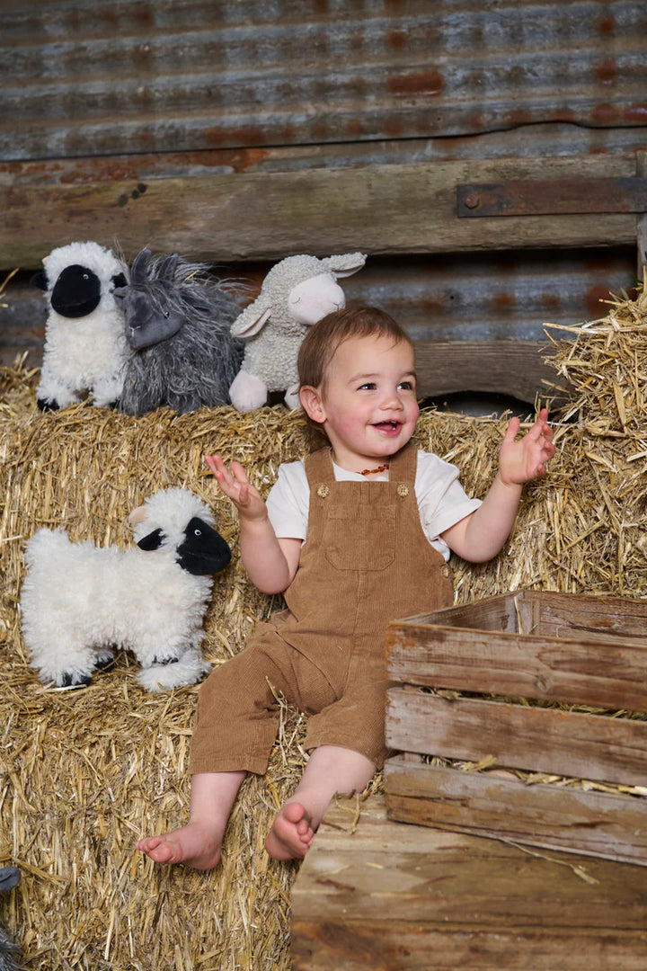 Nana Huchy Valentina the Valais Sheep