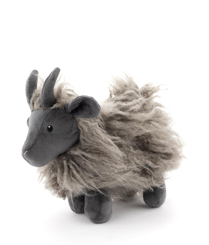Nana Huchy Aiden the Angora Goat