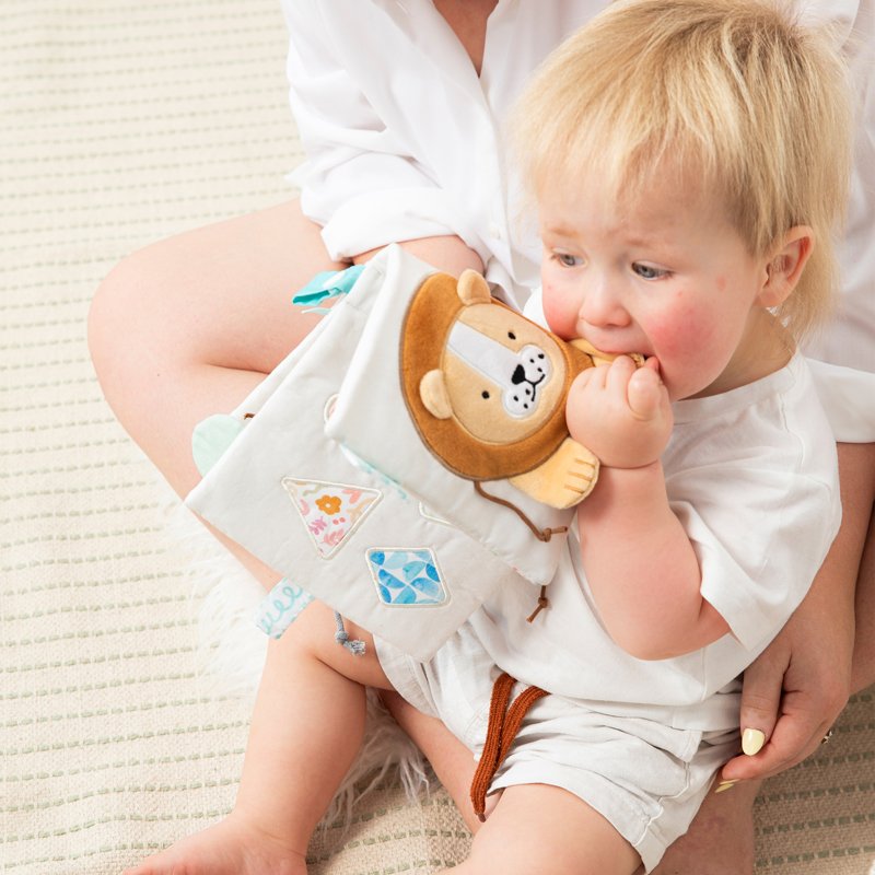 Nurturing & Thoughtful Play Toy Starter Pack Box 3 | 7-9 Months