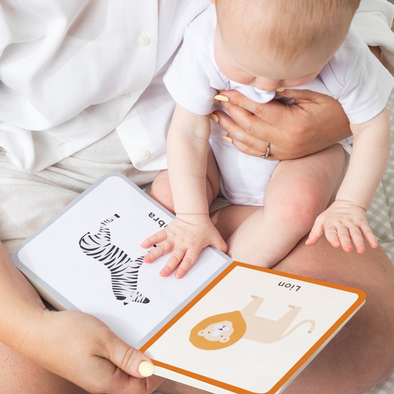 Learn & Explore Toy Starter Pack Box 2 | 4-6 Months