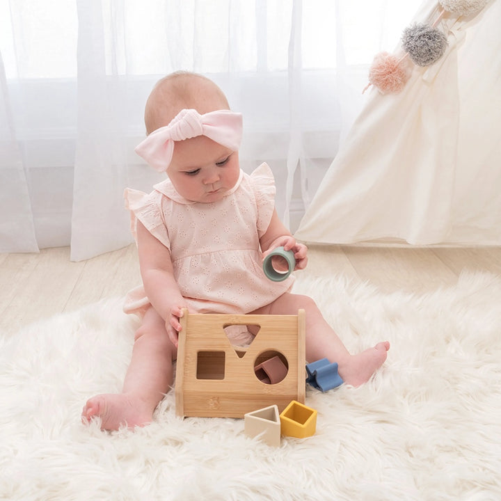 Playground Wooden House Shape Sorter