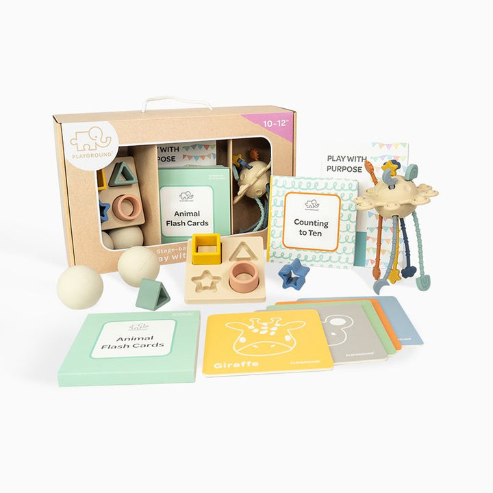 Play with Purpose Toy Starter Pack Box 4 | 10-12 Months