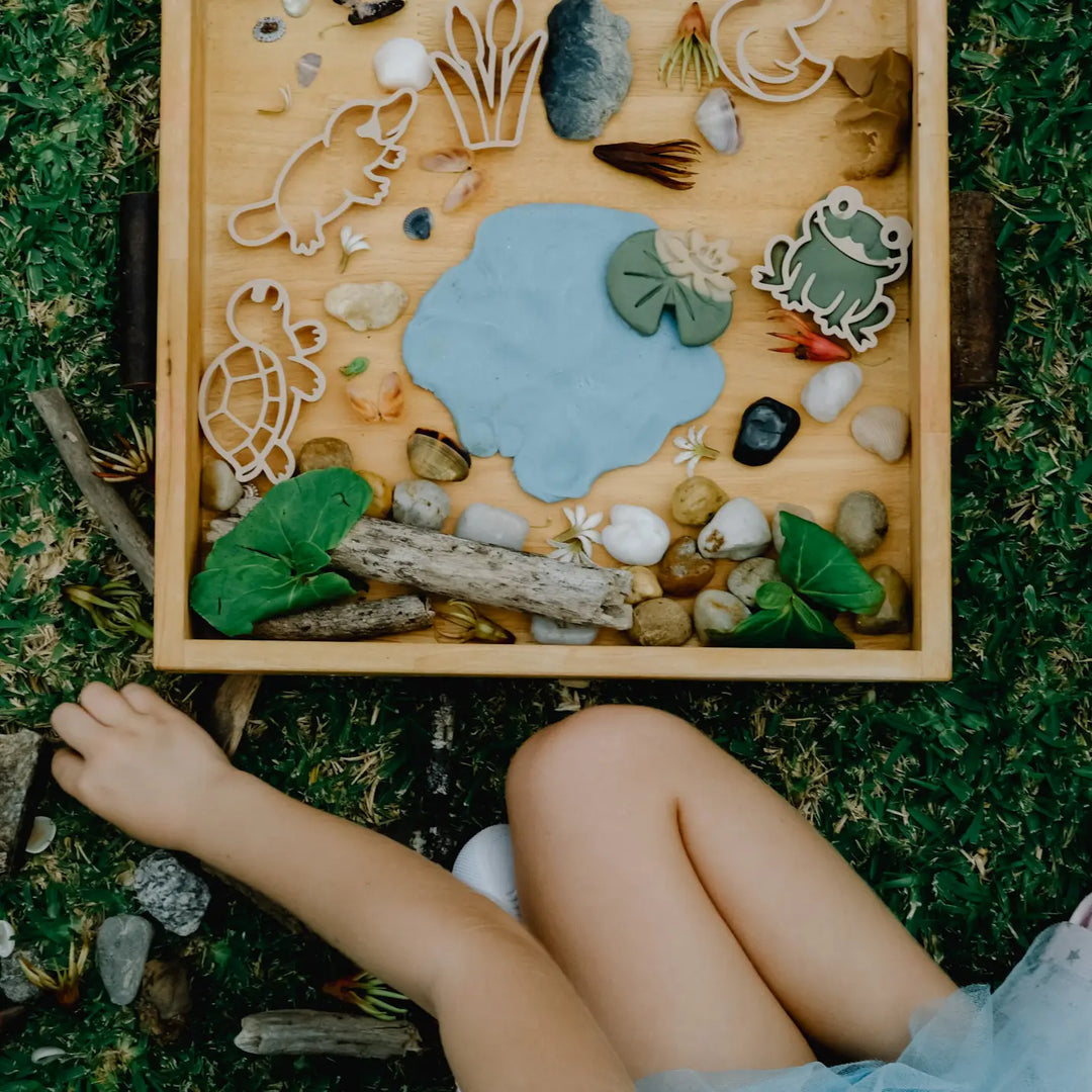 Pond Life Playdough/Sensory Play Eco Cutter™