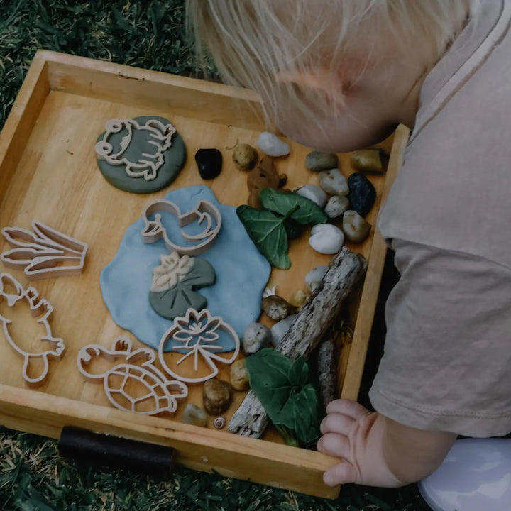 Pond Life Playdough/Sensory Play Eco Cutter™