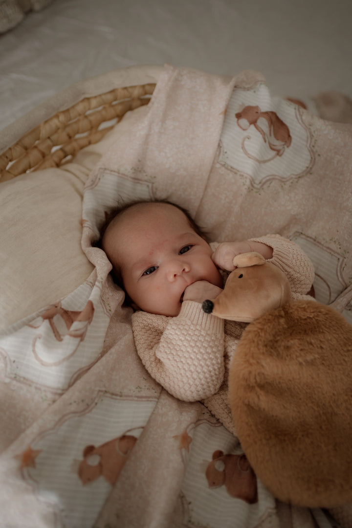 Pop Ya Tot Organic Muslin Swaddle -  Sweet Squeak