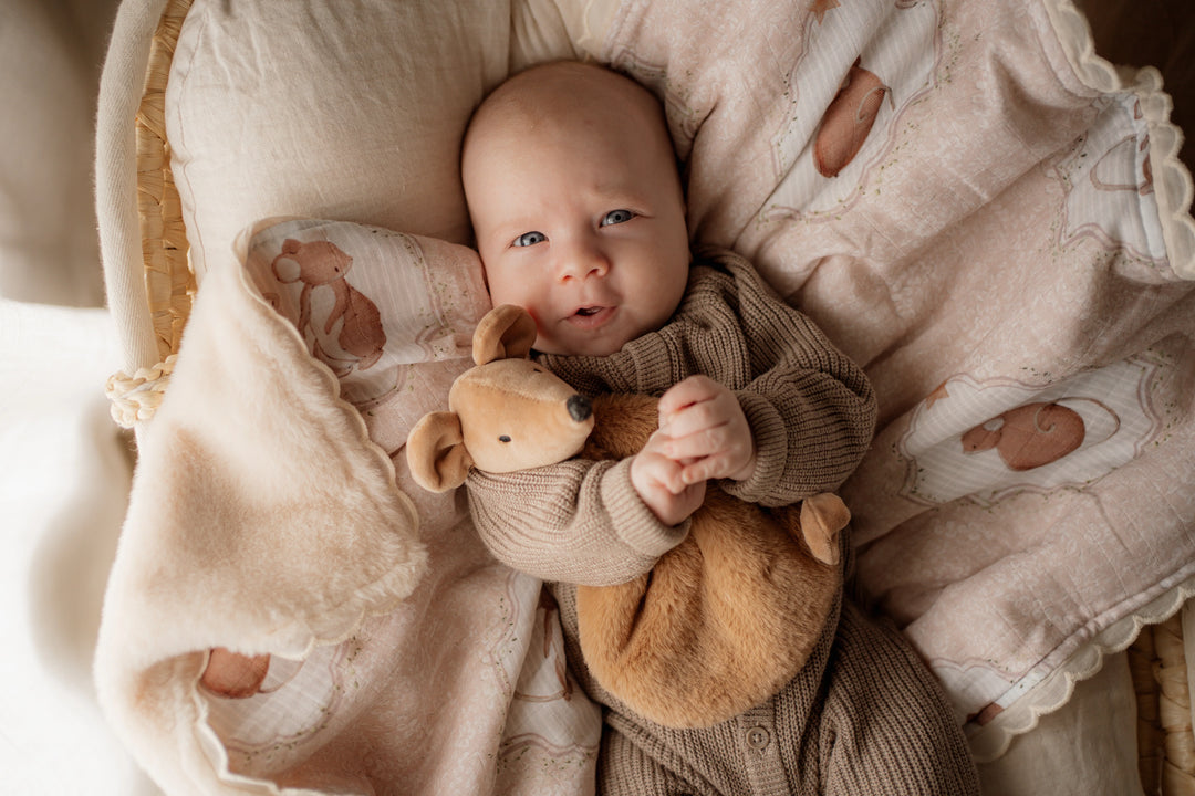 Pop Ya Tot Squeaky the Sweet Comforter Toy