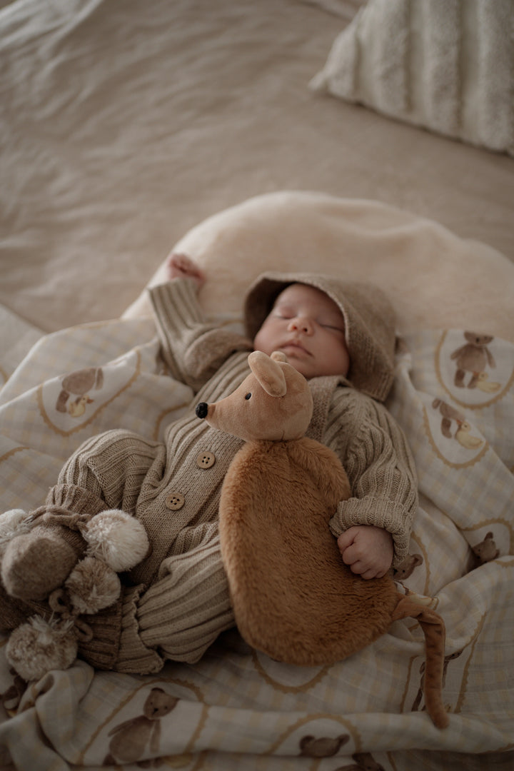 Pop Ya Tot Squeaky the Sweet Comforter Toy