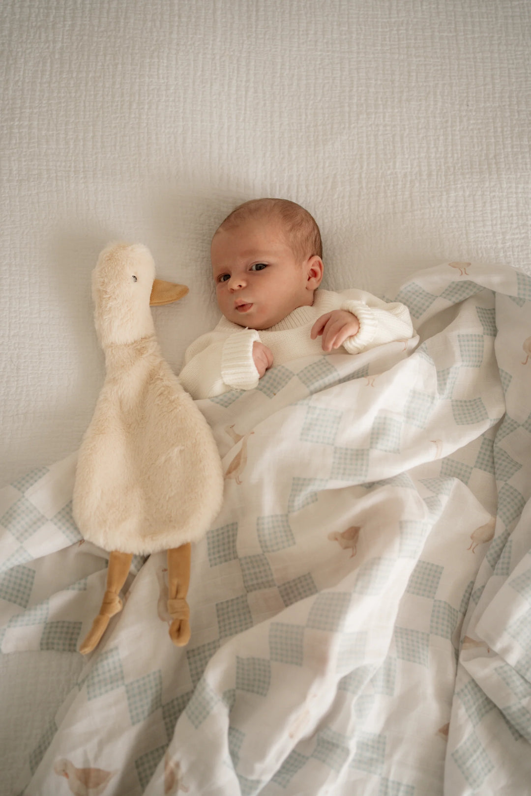 Pop Ya Tot Waddles the Goose Comforter Toy