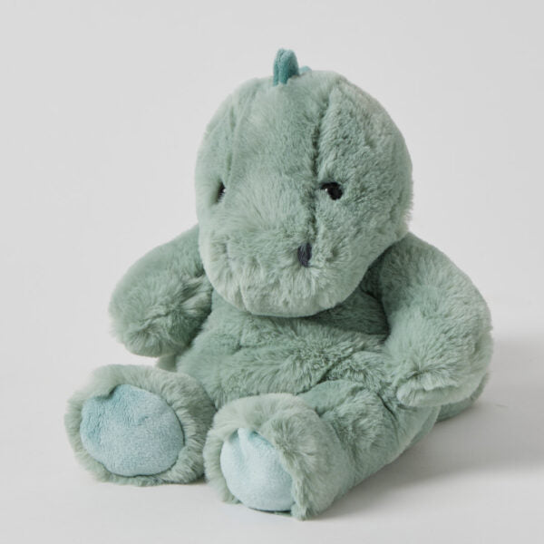 Rex the Dinosaur Plush Toy
