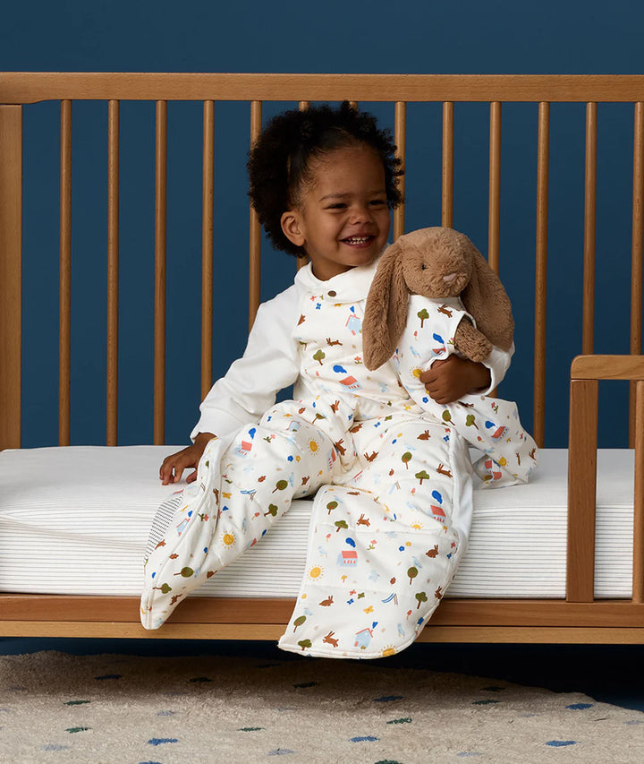 ergoPouch Sleep Suit Bag TOG 2.5 - Daydream