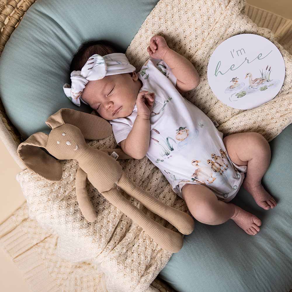 Snuggle Hunny Organic Short Sleeve Bodysuit - Duck Pond