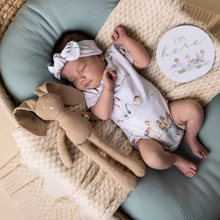 Snuggle Hunny Organic Short Sleeve Bodysuit - Duck Pond