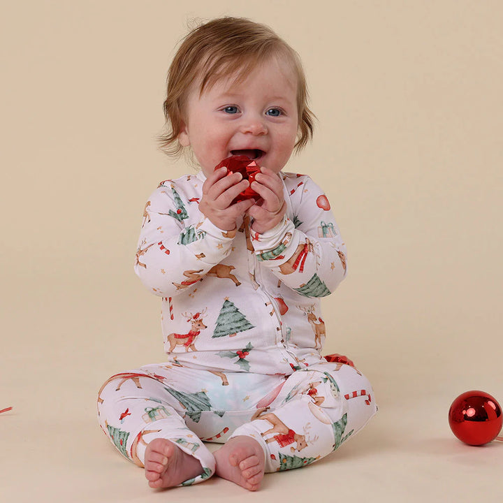 Snuggle Hunny Organic Snugglesuit - Prancer & Friends