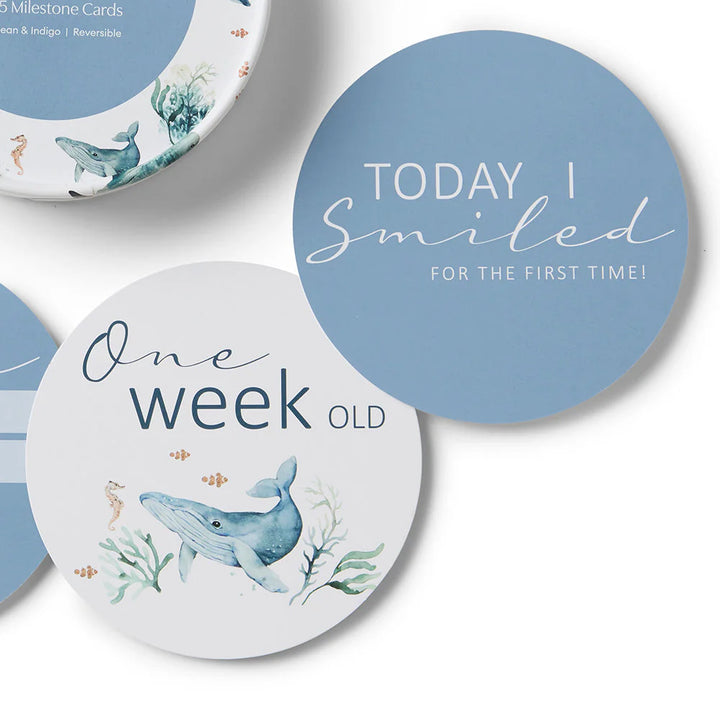 Snuggle Hunny Reversible Milestone Cards -  Ocean & Indigo