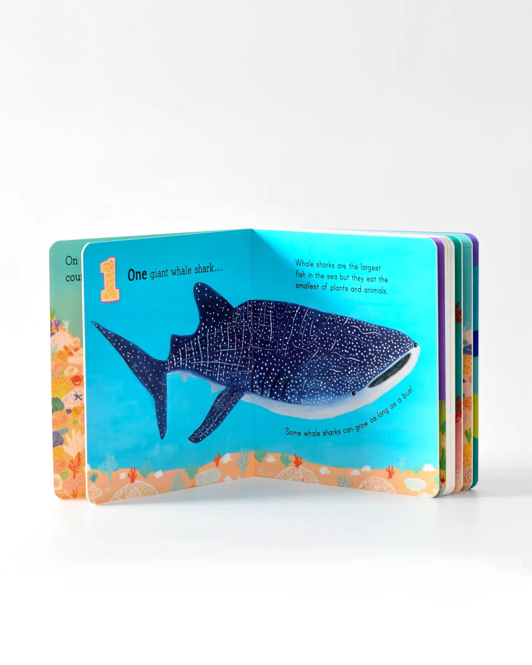 Australia Under The Sea 123 Board Book by Frané Lessac