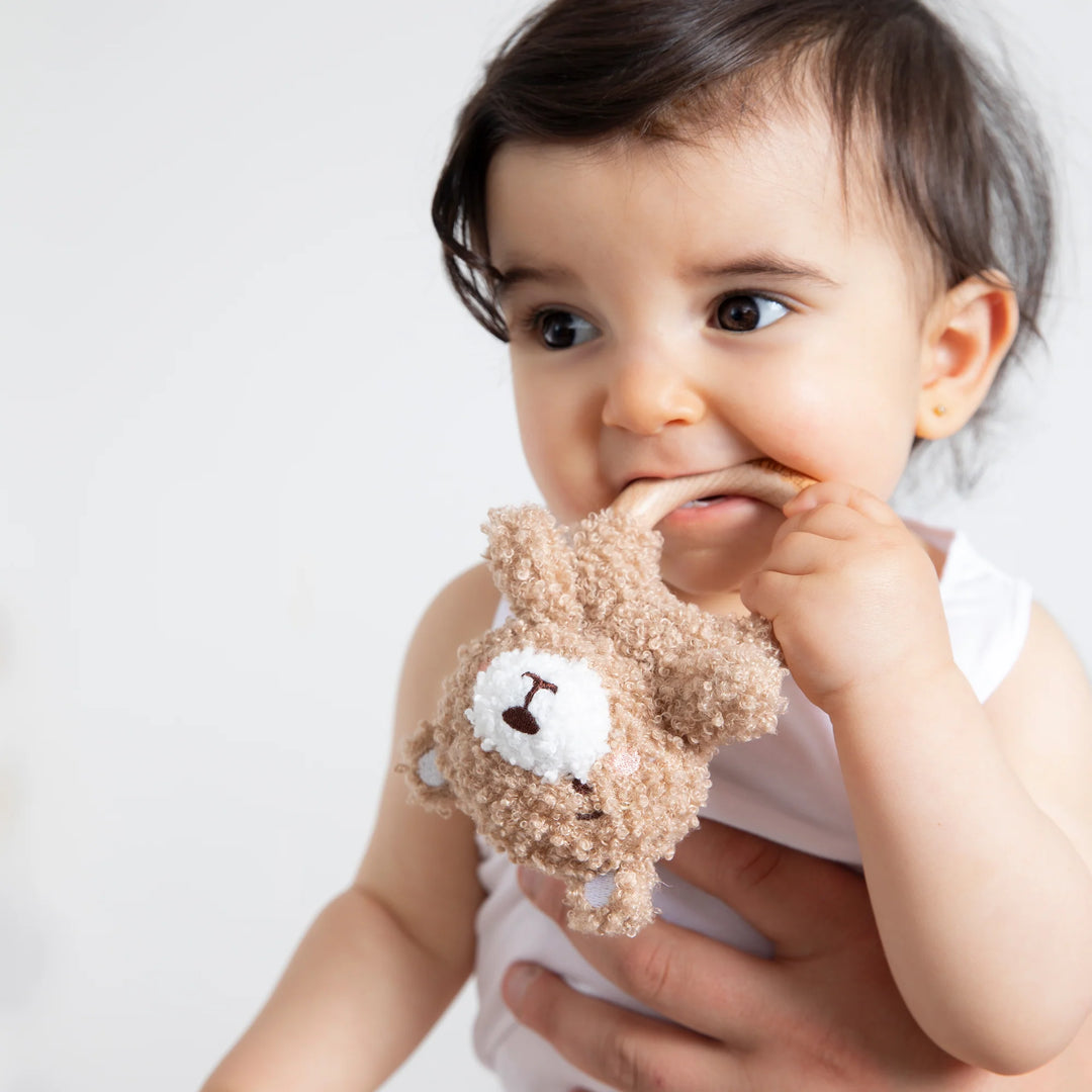 Teething Ring & Dummy Chain Gift Set - Cuddly Bear