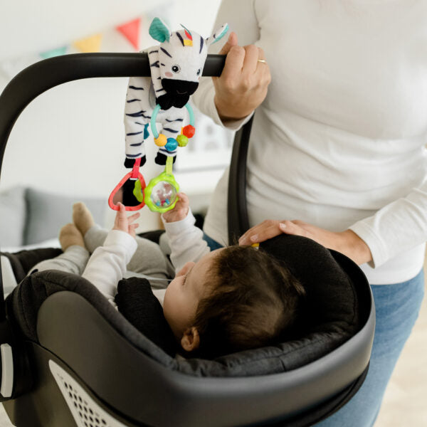 Fehn Bean Bag Sensory Zebra Toy