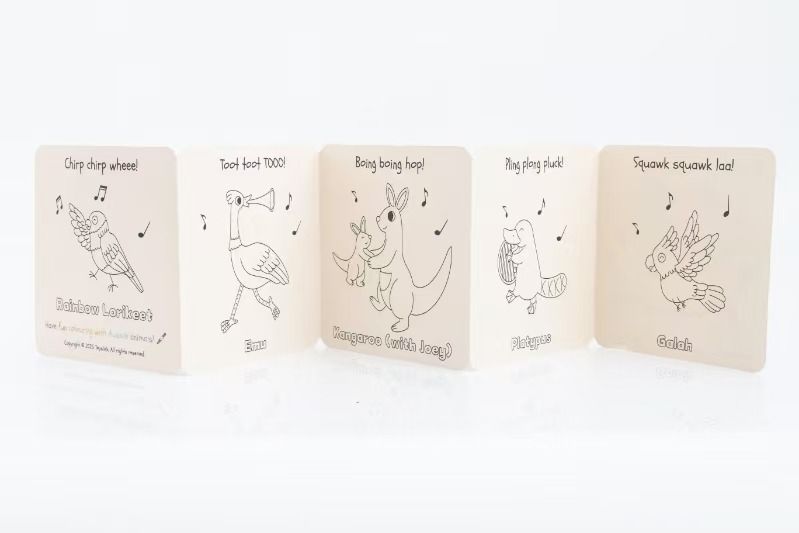 Outback Beats Wooden Drum