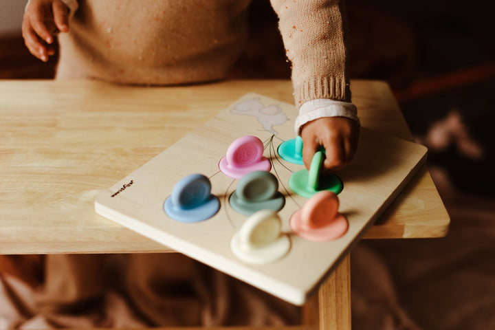 Jellystone Balloon Colour Sorter Puzzle - Rainbow Pastel