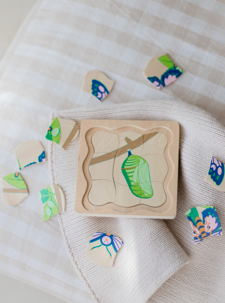 Timber Butterfly Life Cycle 4 Layer Puzzle