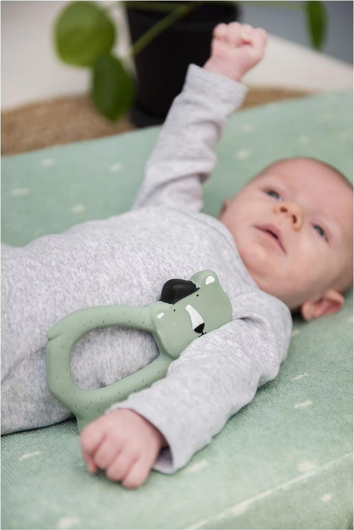 Trixie Natural Rubber Grasping Toy - Mr. Polar Bear
