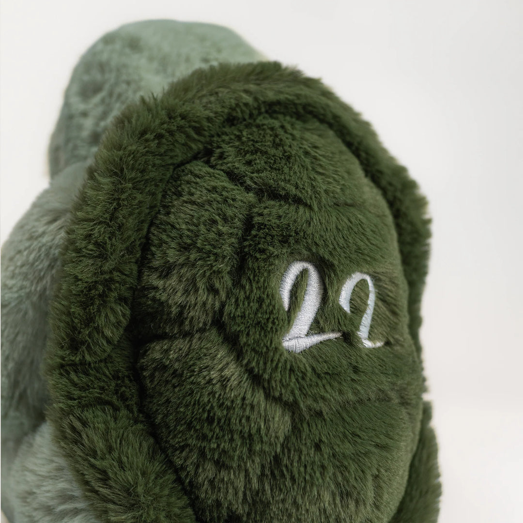 Wonderlings Tortoise Plush Toy - 1968 Cosmo