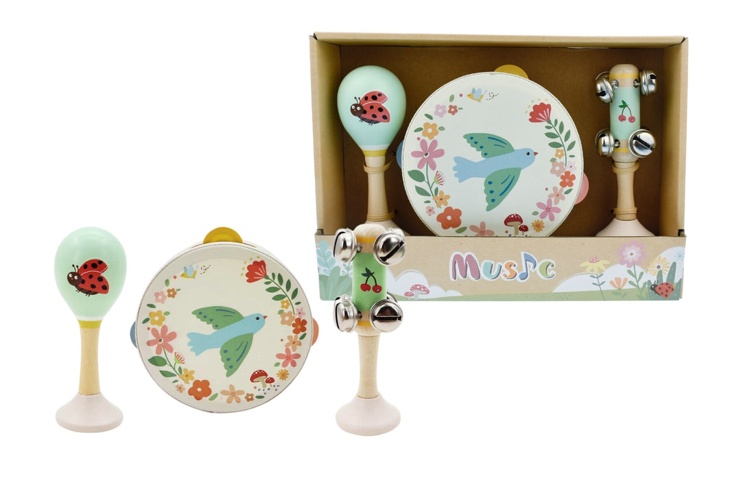 Wooden Spring Insect 3 Piece Music Set - Assorted