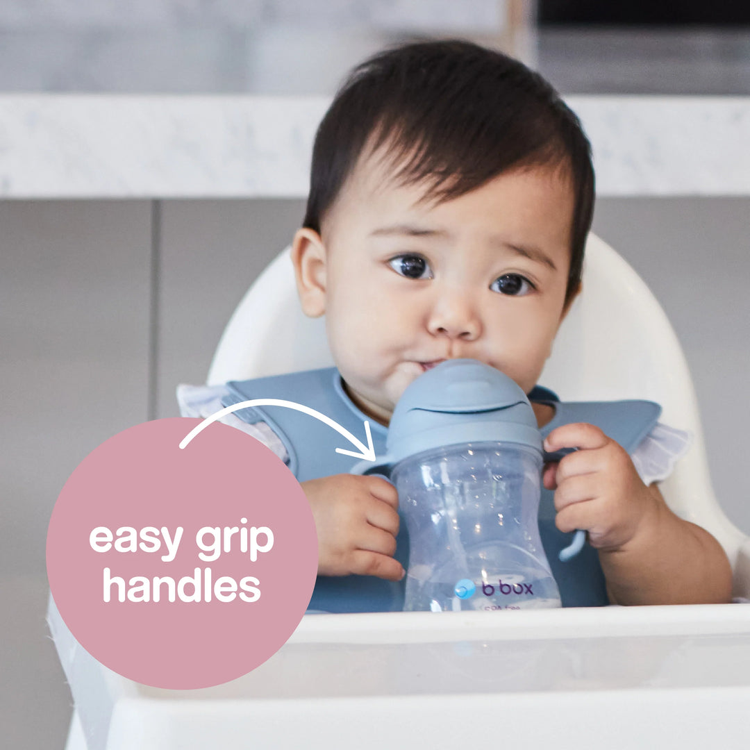 bbox Weighted Straw Sippy Cup 240ml - Assorted