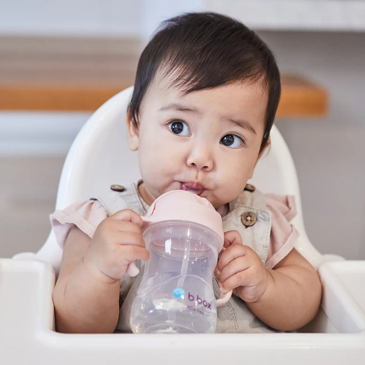 bbox Weighted Straw Sippy Cup 240ml - Assorted