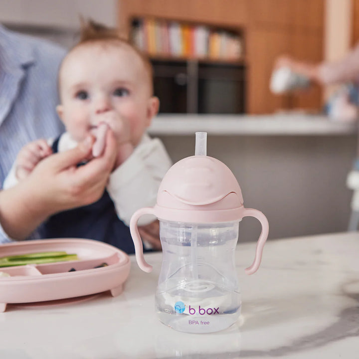 bbox Weighted Straw Sippy Cup 240ml - Assorted