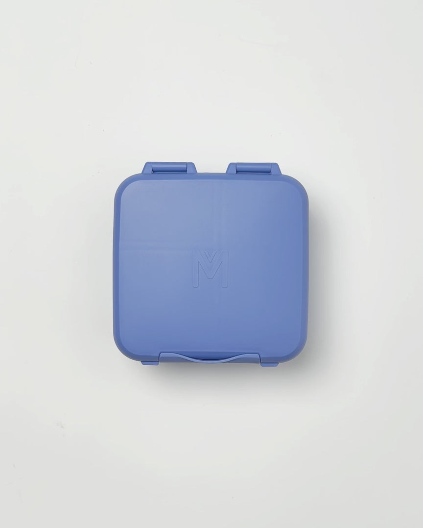 Montiico Bento Bite Lunch Box - Splash