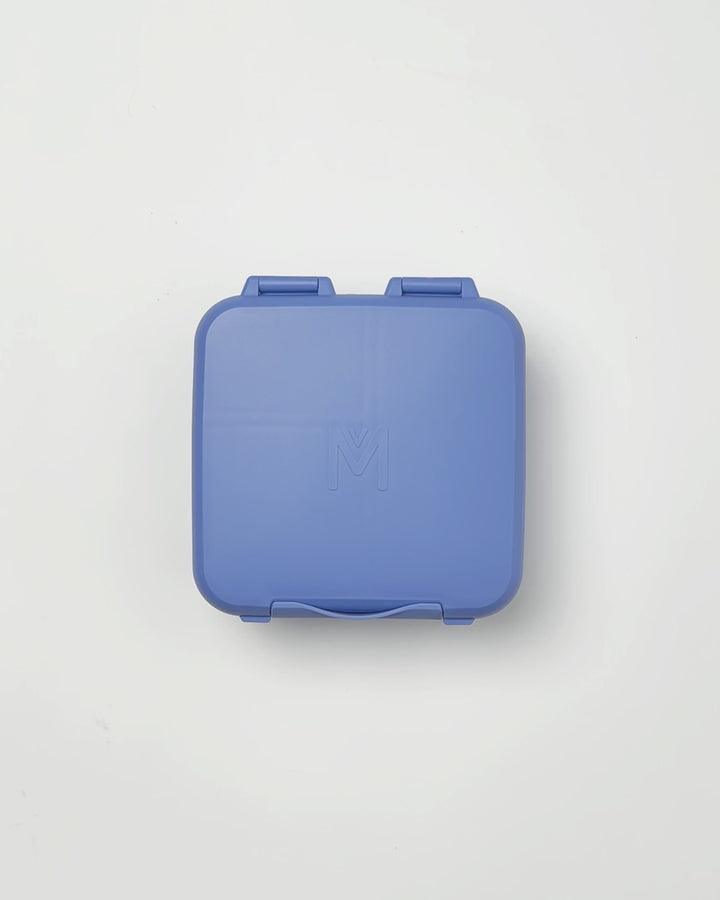Montiico Bento Bite Lunch Box - Splash