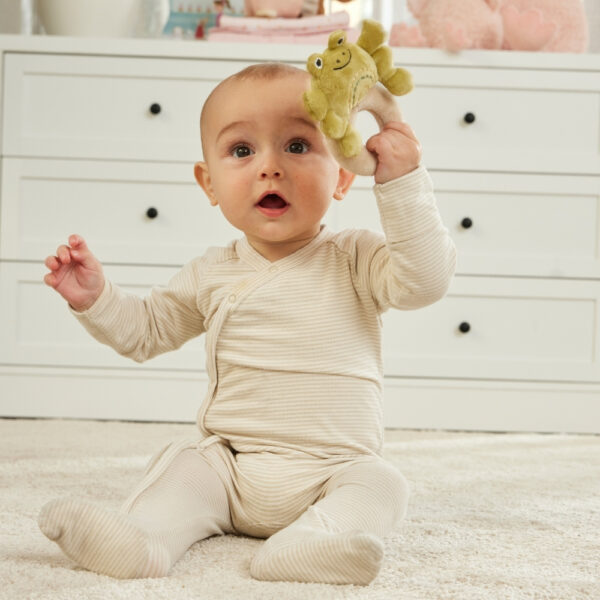 Fred the Frog Rattle Plush Rattle