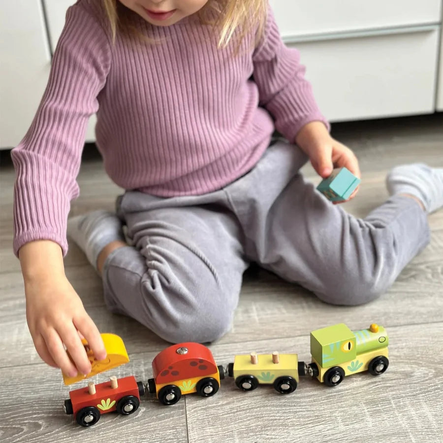 Mentari Wooden Dinosaur Train Set