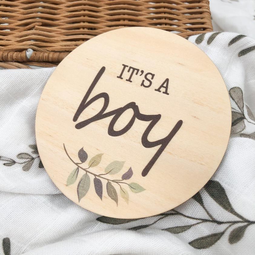Coloured Announcement Timber Milestone Plaques - Baby Boy