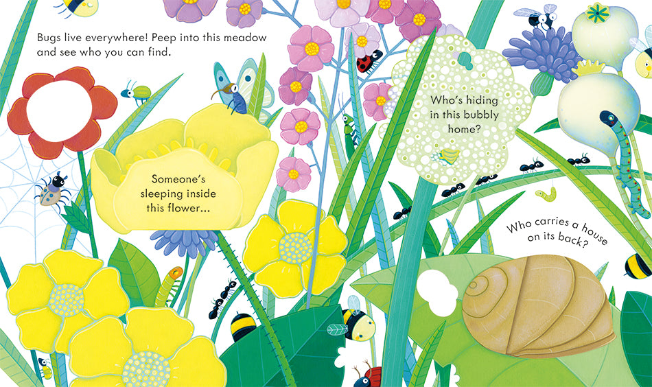 Usborne Peep Inside: Bug Homes