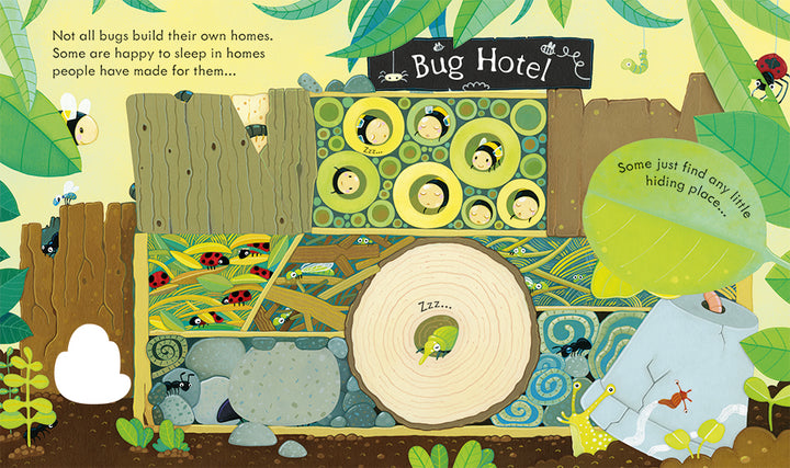 Usborne Peep Inside: Bug Homes