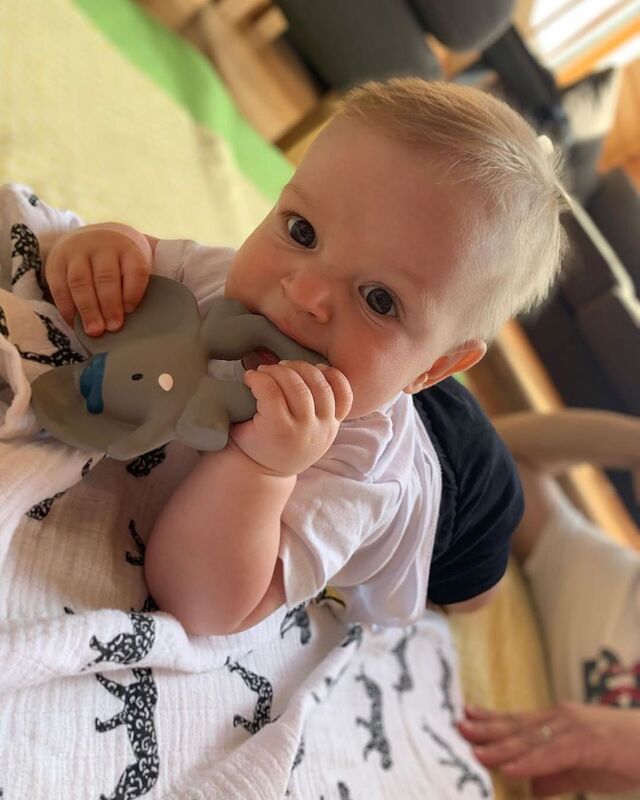 Alvin the Elephant Teether Gift Box